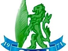 SLAJ Logo